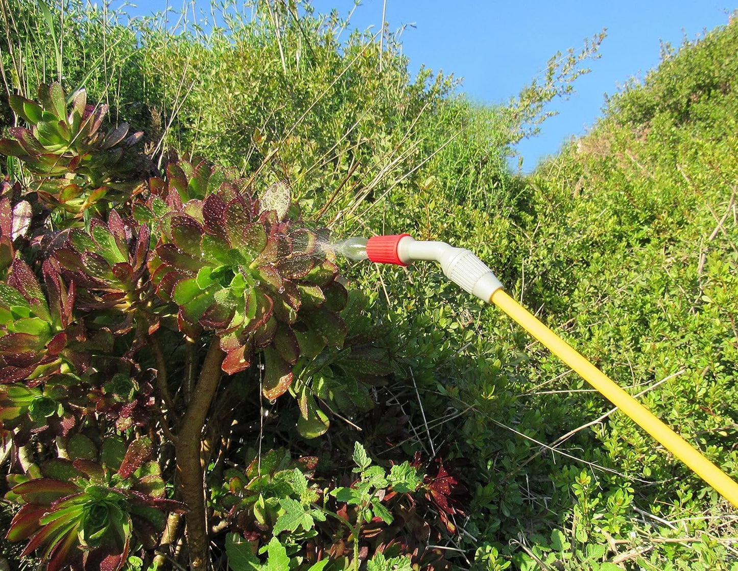 TABOR TOOLS 1.3 Gallon sparayer for Lawn and Garden. Pump Pressure with Pressure Relief Valve, Adjustable Shoulder Strap, and Adjustable Wand Nozzle. N50A