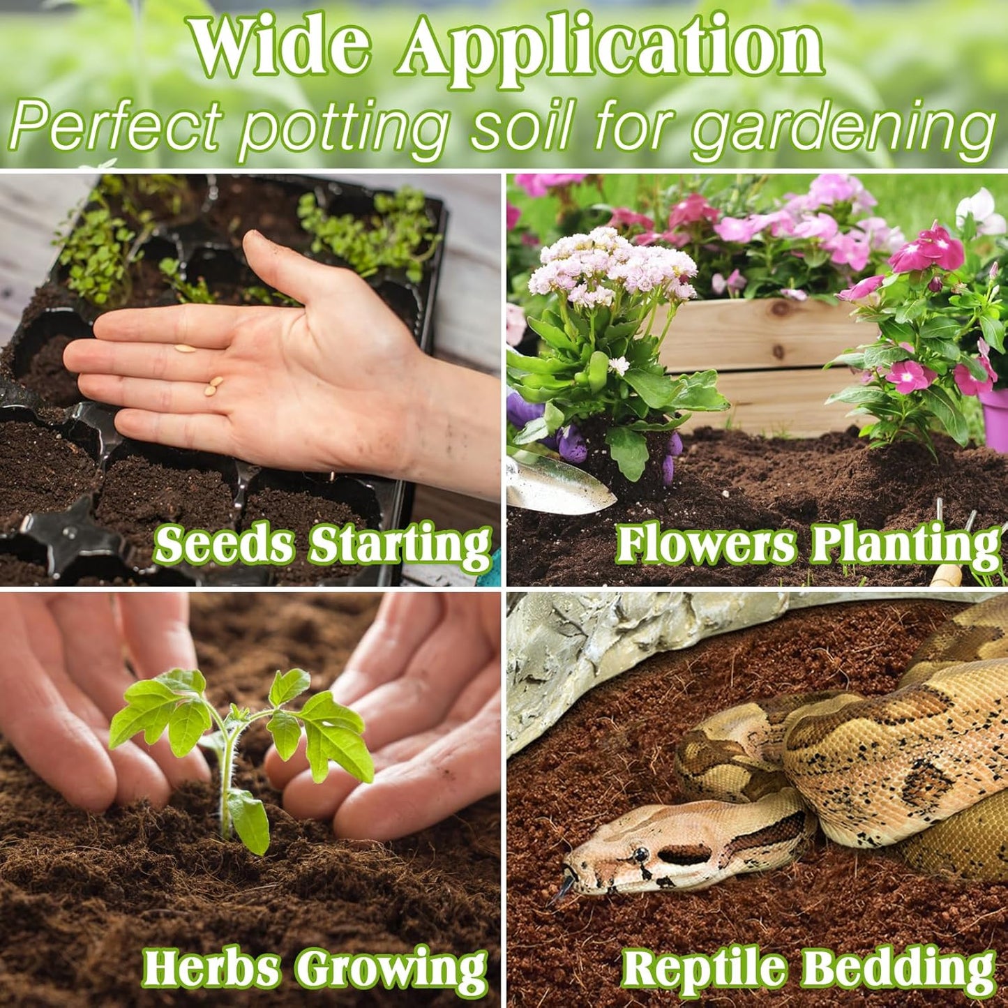 ZeeDix 100 Pcs 40mm Organic Coco Coir Pellets, Compressed Coconut Coir Seed Starter Expanding Soil Discs Potting Soil Dirt Pellets for Planting Bonsai, Herbs, Plants, Flowers and Vegetables