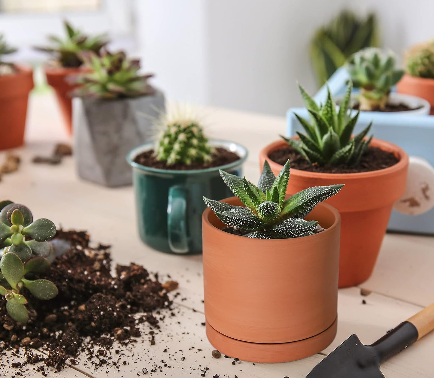 D'vine Dev X-Small 4 Inch Terracotta Plant Pot with Drainage Hole and Saucer, Round Cylinder Planter Pot for Indoor Plants, 40-X-A-1