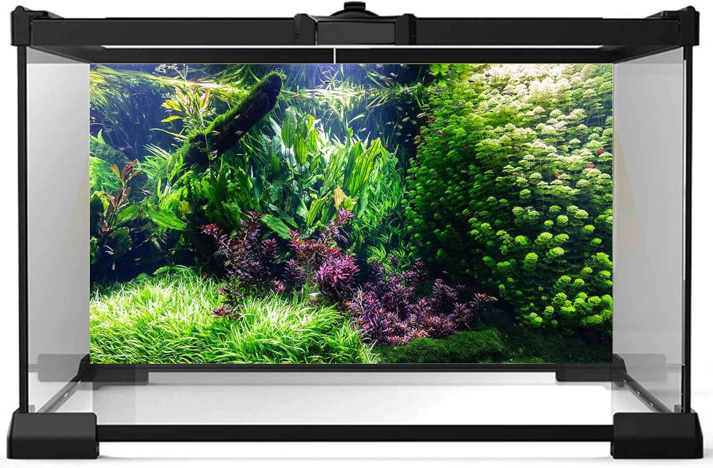 Aquarium Background Various Underwater Grass Plants Fish Tank Background Vivid Green Aquatic Plants Terrarium Background Stone River Bed and Dead Wood Under Water Tank Background 48x24in