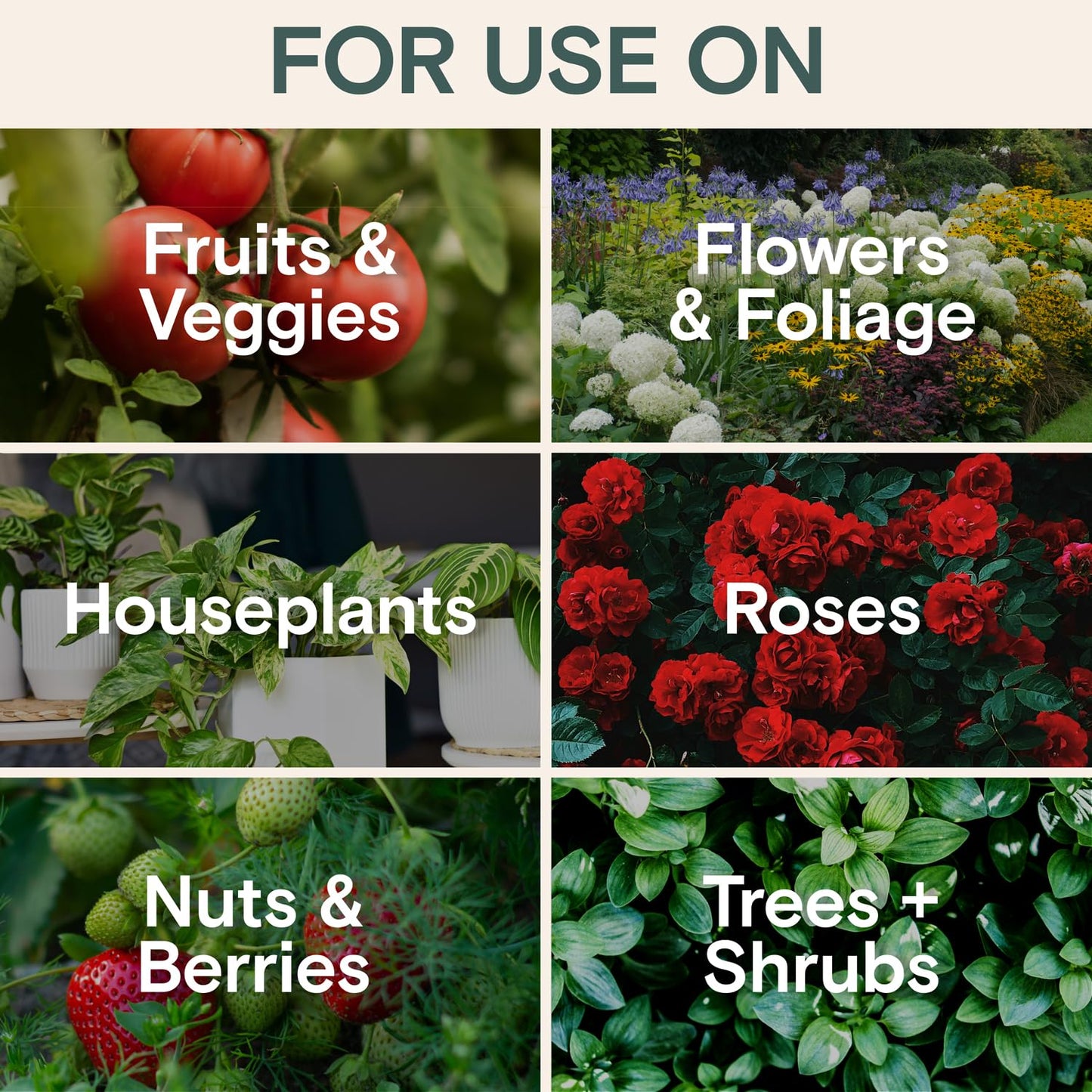 Organic Plant Food – Liquid Fertilizer for Indoor & Outdoor Plants, Nutrient-Rich Formula for Growth & Protection, Houseplant & Garden Fertilizer, Liquid Concentrate for Healthy Foliage & Strong Roots