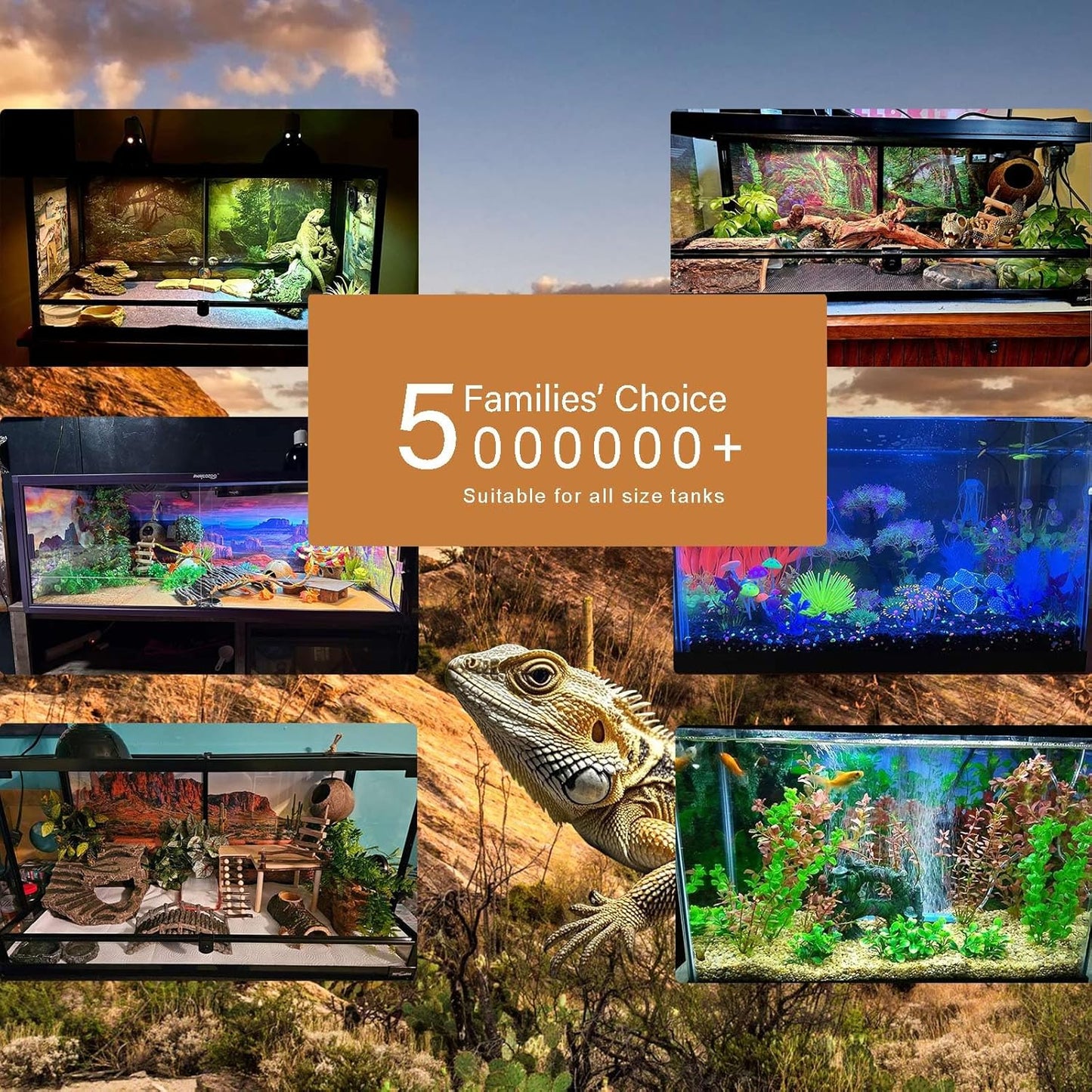 Underwater Aquarium Background Corals and Tropical Fish Terrarium Backdrop Rock Aquatic Plants Sunlight Rays Fish Tank Background Tank Aquarium Wallpaper Poster Decor 48x24in