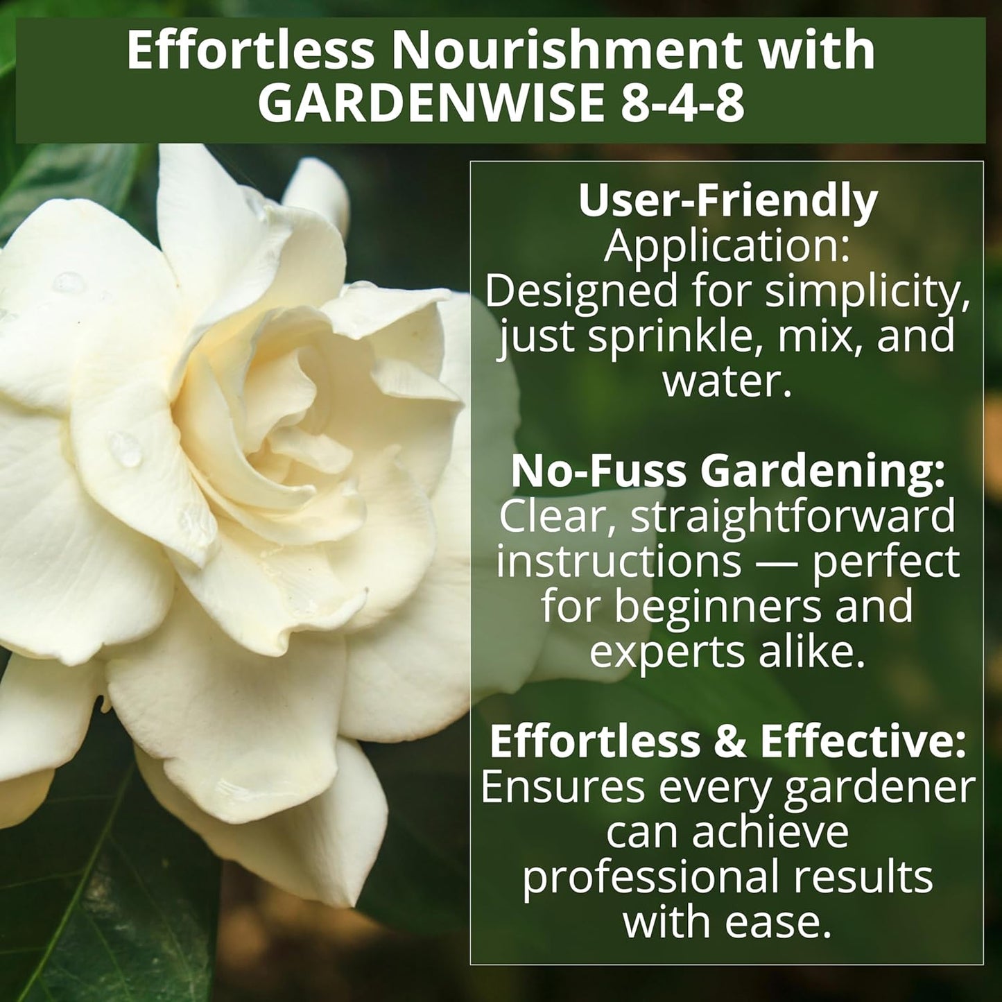 8-4-8 Acidic Fertilizer for Azaleas, Camellias (Camelia), Hydrangeas, Blueberries, Gardenias, Magnolia Trees, Evergreens, and Rhododendrons - Ideal Iron-Rich Plant Food (2 QUARTS)