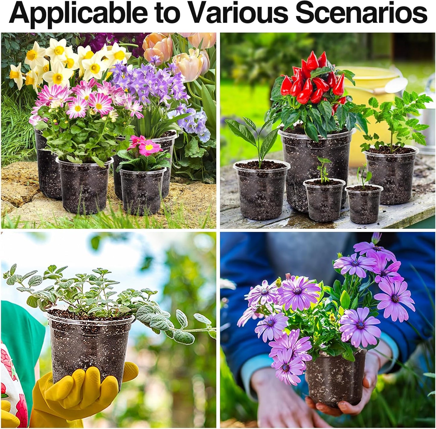 Bonviee 20 Packs 6.7 Inch Clear Nursery Pots, 1 Gallon Plastic Seedling Pots with Drainage Holes, Planters for Indoor Plants and Small Seed Starters, High Transparency Flower Pots with 10 Plant Labels