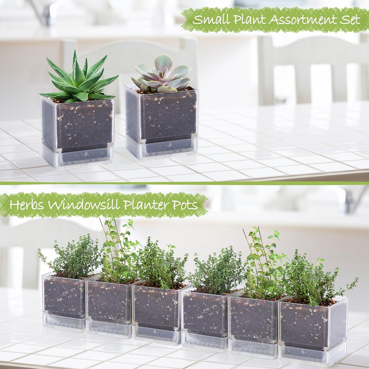 4 Inch Herb Planter Pot, Plastic Planter with Drainage Holes and Saucer, Modern Decorative Gardening Pot for Indoor Plants, Flowers, Herbs, Succulents, Clear, Set of 6, 76-Y-D-6