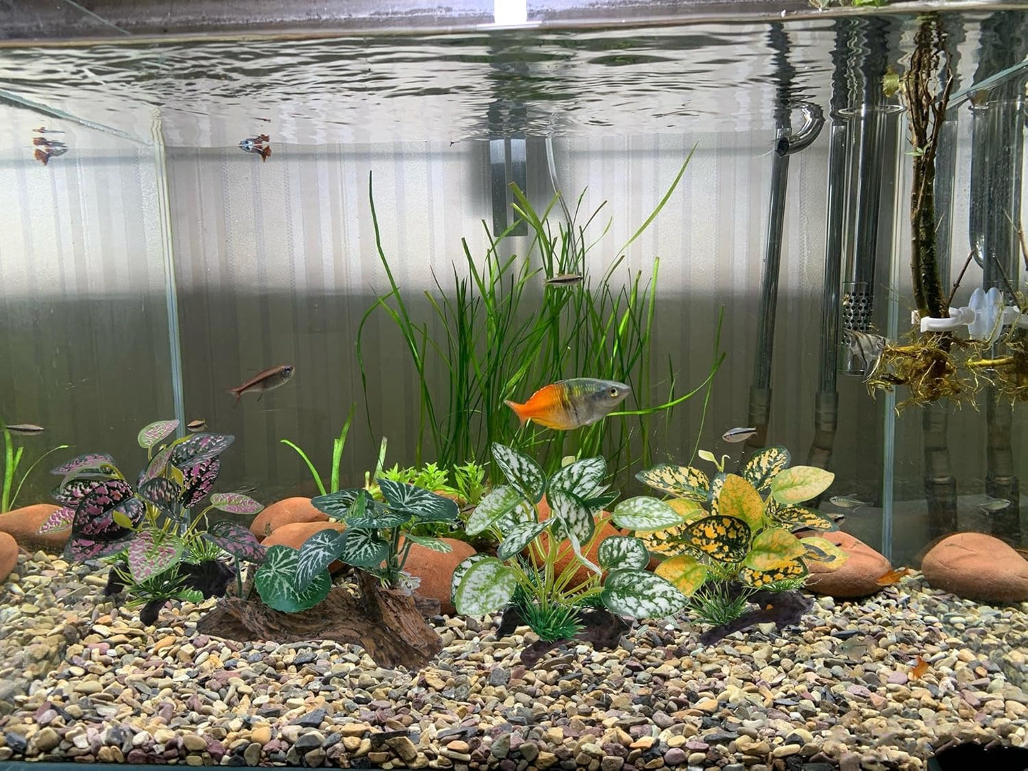 M2cbridge Artificial Fish Tank Plants Aquarium Plastic Plant Aquatic Water Grass Foreground Decor (2PCS Plastic Plants)