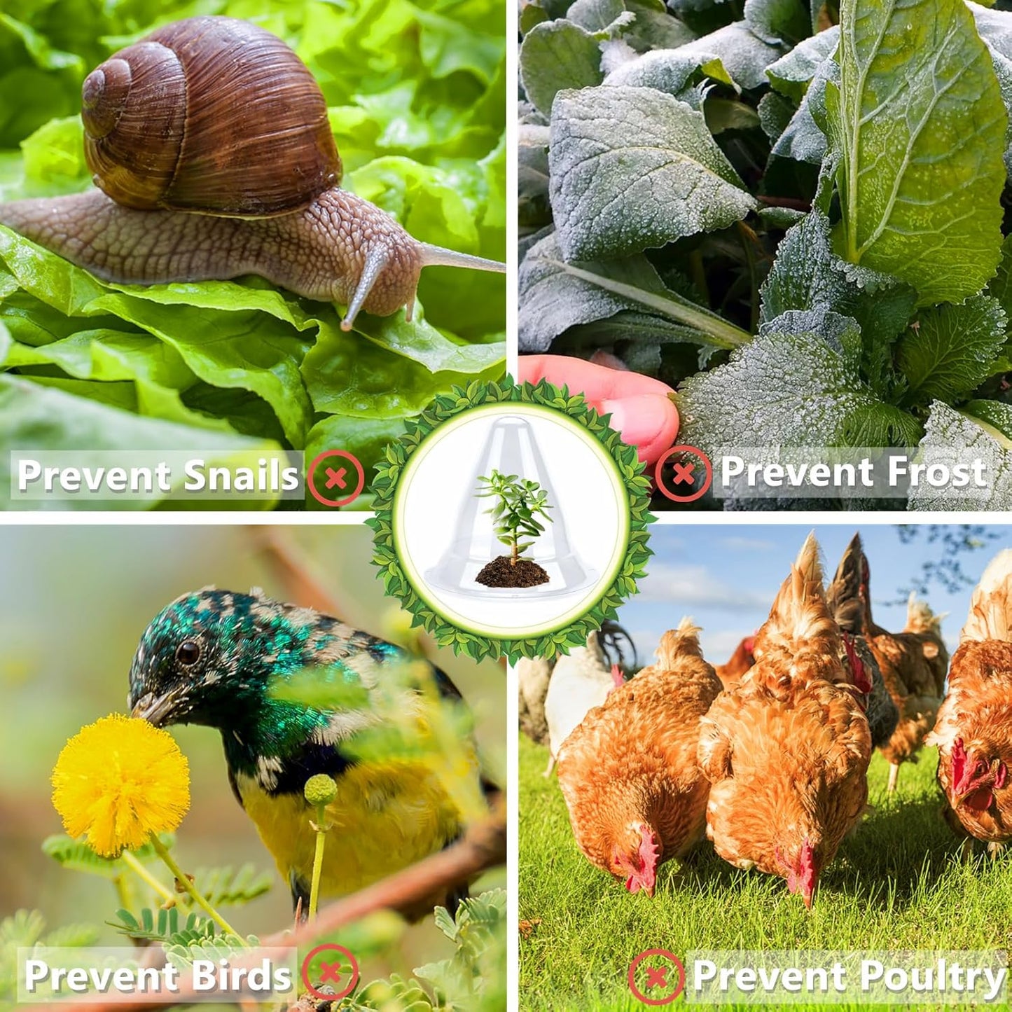 【10 Pieces】 Garden Cloches for Plants, Large Plant Covers Plant Protectors Transparent Bell Jar Cloches to Protect Plants from Birds, Slugs, Frost, Freeze Weather, 10.6" D x 9.5" H, Transparent