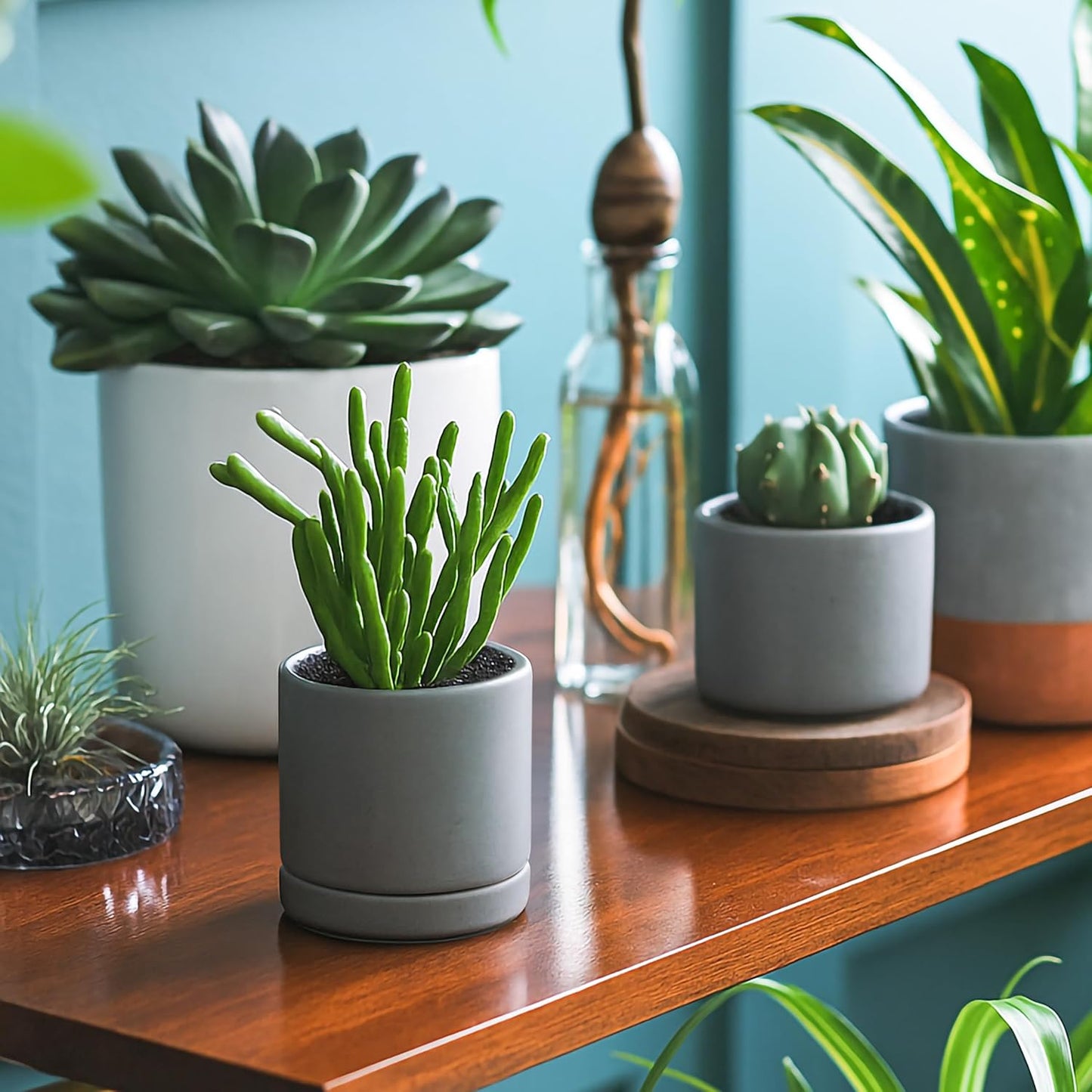 D'vine Dev Set of 2 Plants Pots, 3.5 Inch Ceramic Planter Pot for Plants with Drainage Hole and Saucer, Speckled Grey, 94-V-A-3