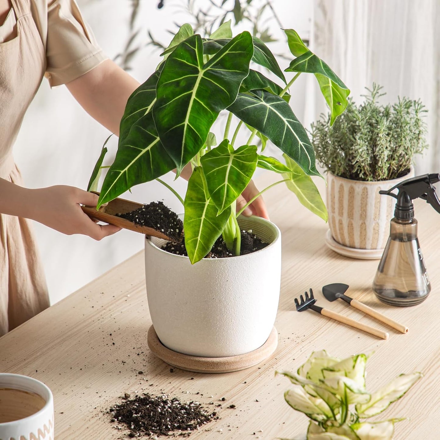 Ceramic Flower Pots Indoor-Outdoor: 7.75 Inch Large Planters with Drainage Holes & Saucer - Modern Decorative Plant Pots Ceramic for Home Gardeners (White)