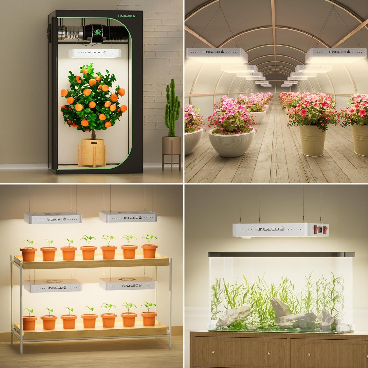 KingLED Grow Lights, KP1500 Full Spectrum Grow Lamp for Indoor Plant, Veg Bloom Dual Mode, 2x4 Coverage, Plant Light for Seedlings Blossom Fruiting, Idea for Home Growing Tent Hydroponic Greenhouse