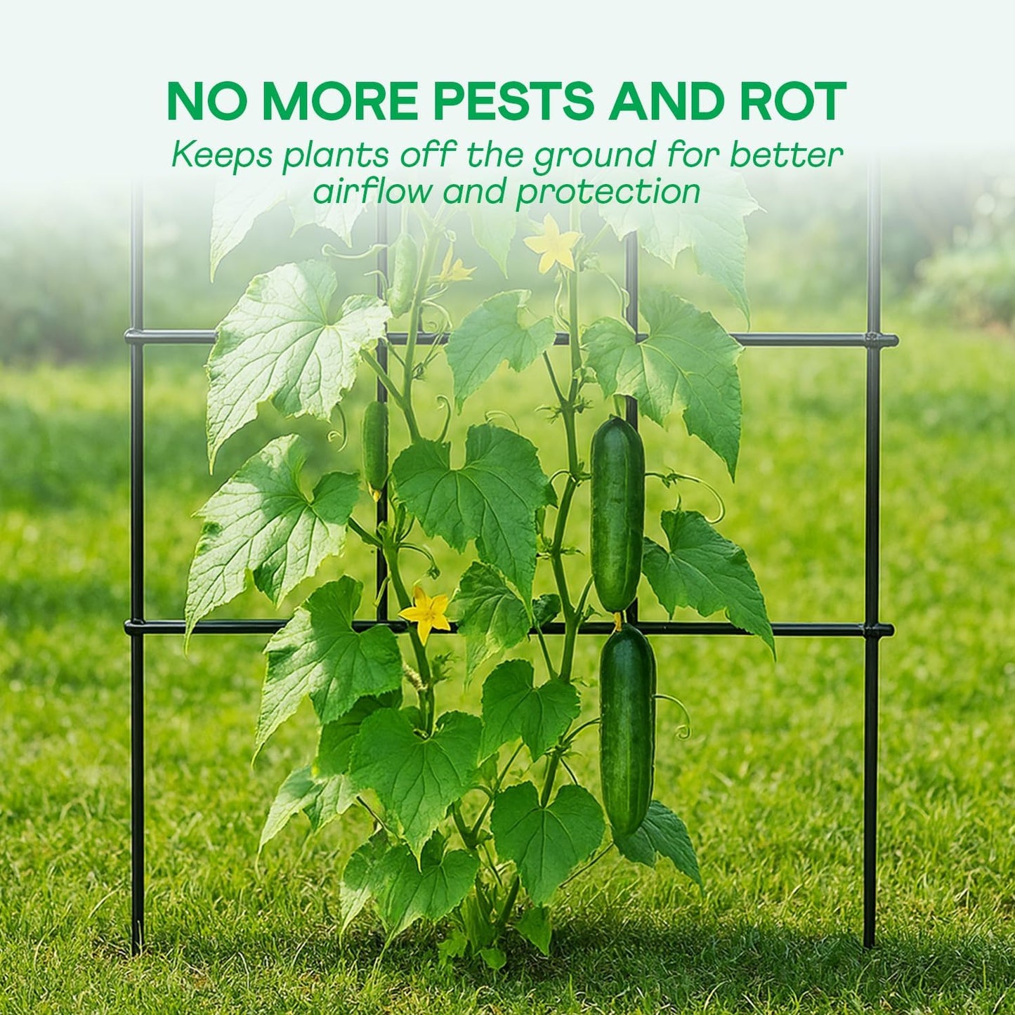 IDZO 2-Panel Folding Trellis, Basic Metal Decoration Trellis for Climbing Plants Outdoor, Tall Metal Plant Trellis with Steel Frame, Panel Trellis Garden Lattice for Vines & Vegetables