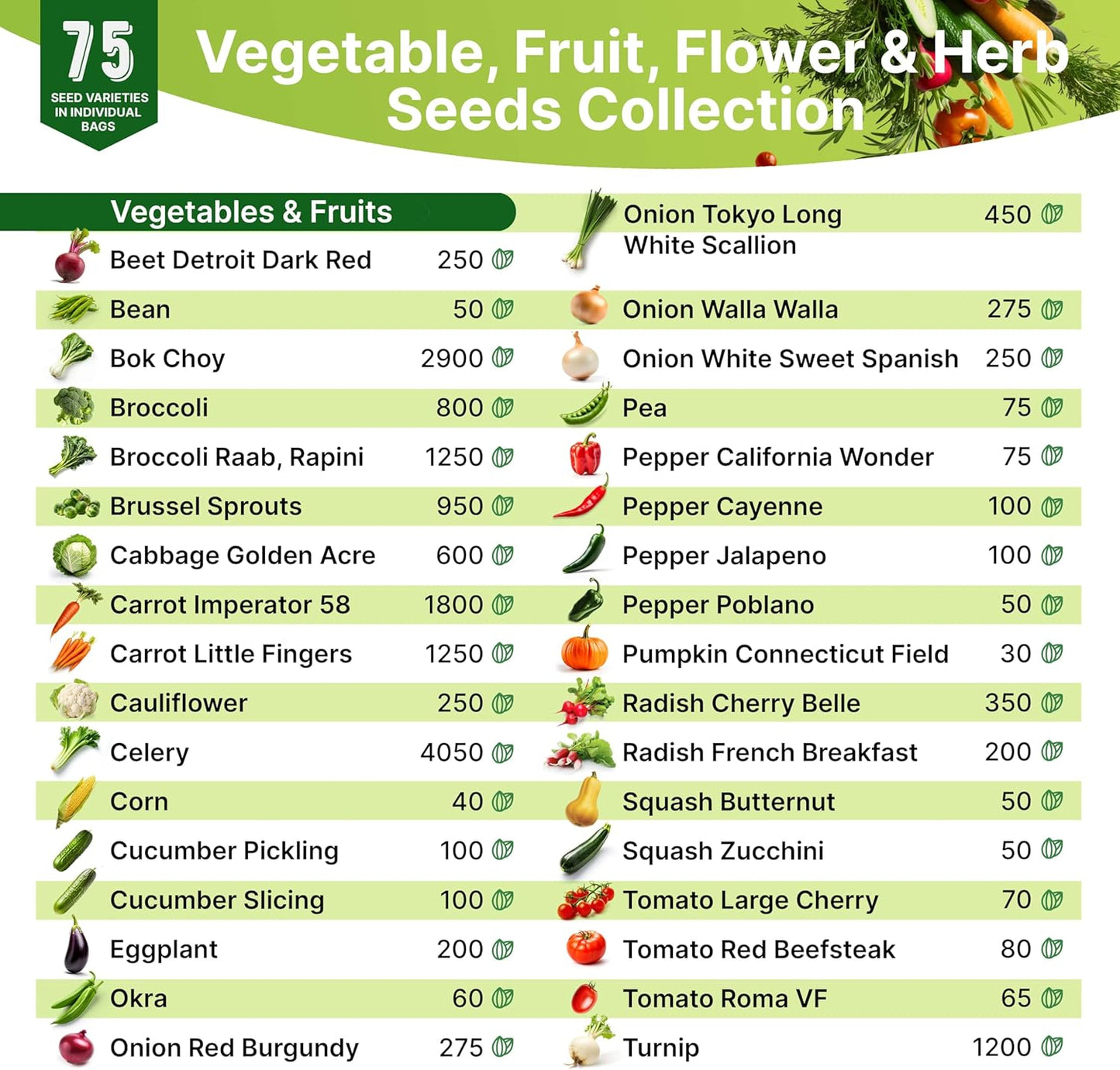 Organo Republic Medicinal & Tea Herb Seeds Variety Pack for Indoor & Outdoors - 75 Variety Pack. Non-GMO Heirloom Garden Seeds: Rosemary, Cilantro, Basil, Oregano, Parsley, Dill, Lavender, Catnip