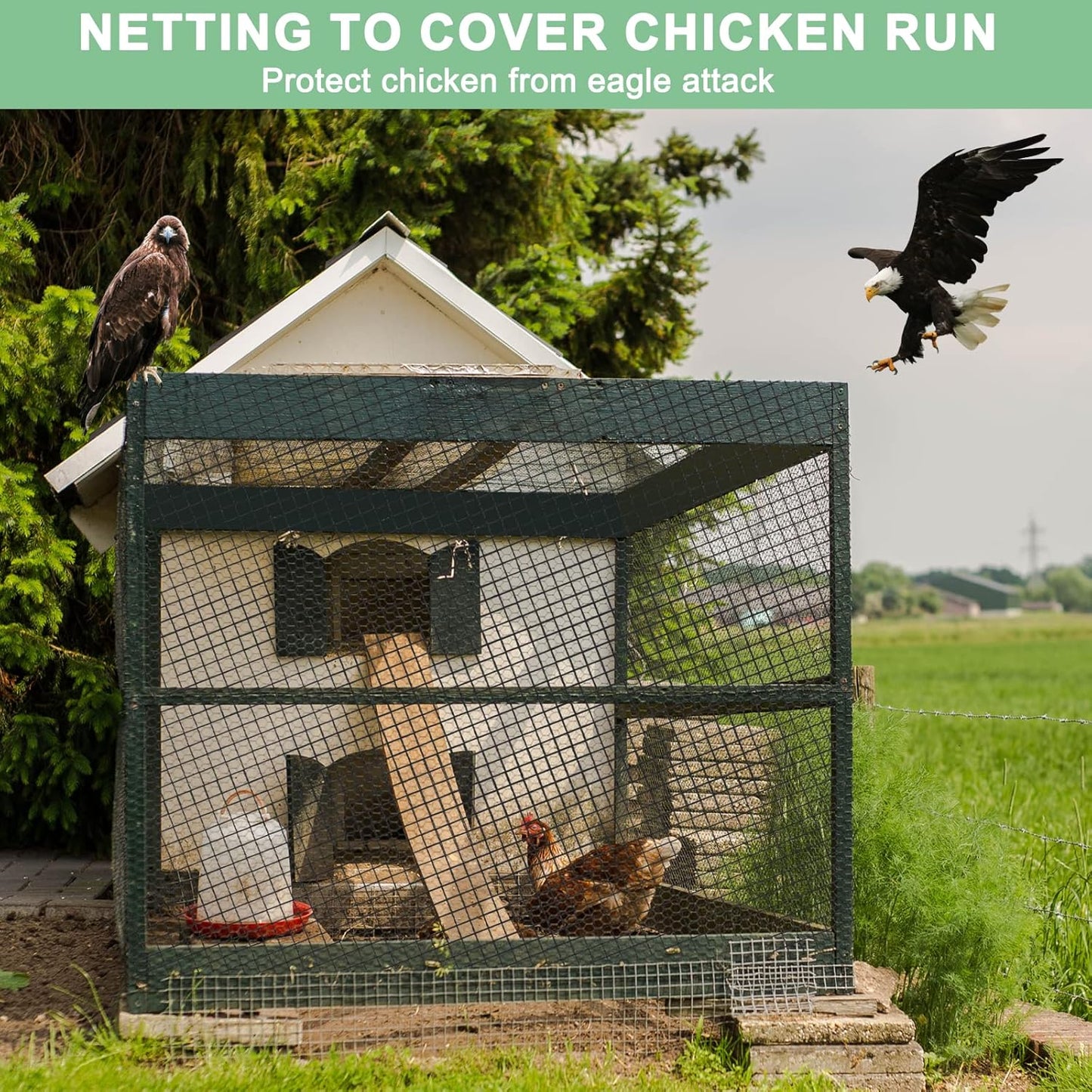 25'x25' Bird Netting for Chicken Coop, Nylon 3/4" Mesh Poultry Netting Chicken Net Roof Hawk, Aviary Net Deer Fence Pests Trellis Garden Nettings for Fruits Trees Plant