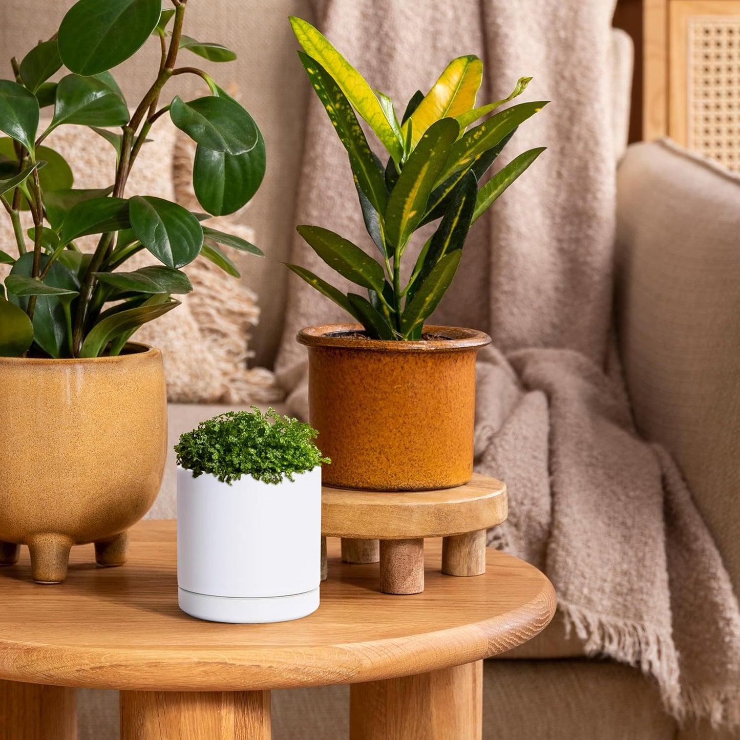 D'vine Dev Set of 2 Plants Pots, 3.5 Inch Ceramic Planter Pot for Plants with Drainage Hole and Saucer, White, 94-V-A-1