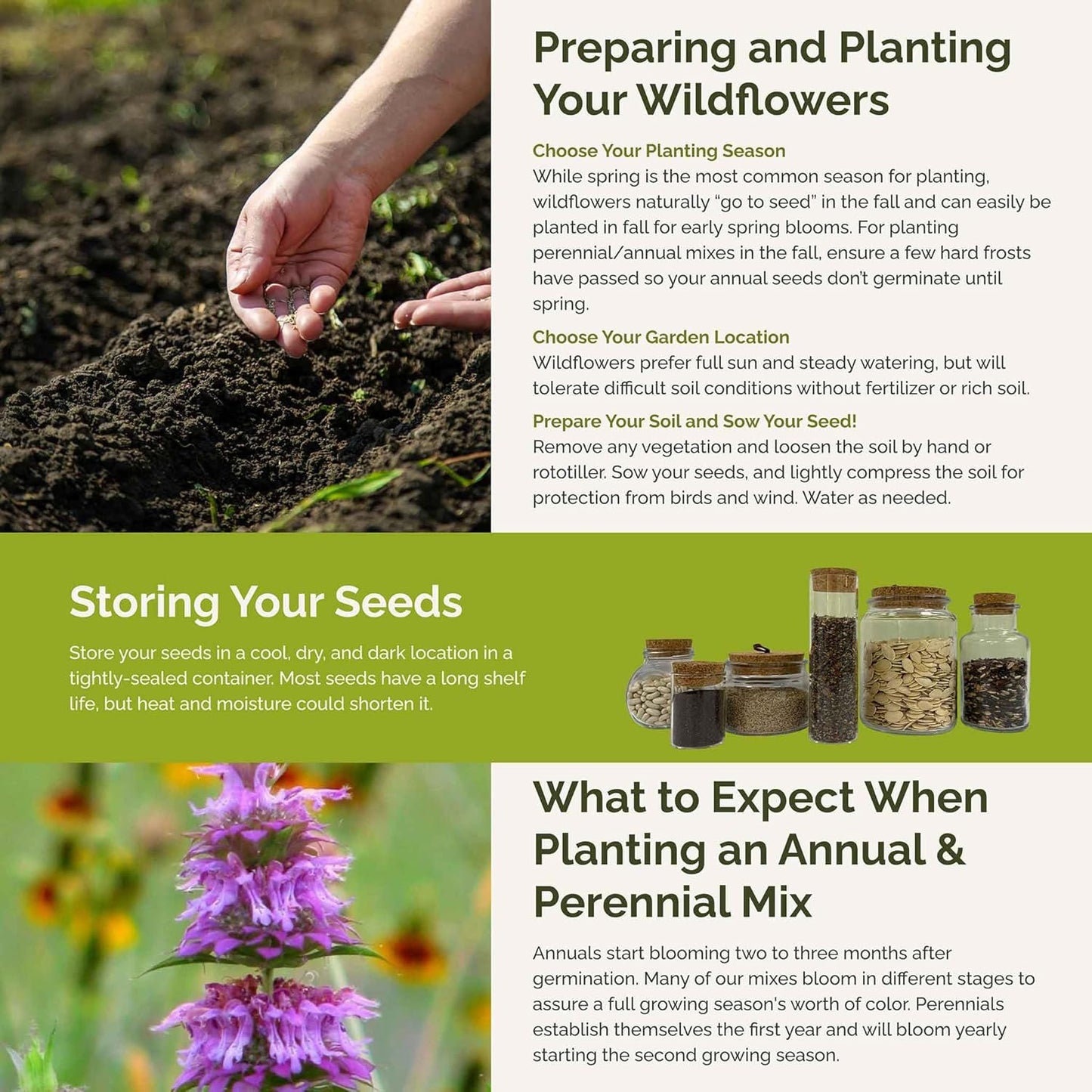 Eden Brothers Pretty in Pink Wildflower Mixed Seeds for Planting, 1 lb, 480,000+ Seeds with Candytuft, Rose Mallow | Attracts Pollinators, Plant in Spring or Fall, Zones 3, 4, 5, 6, 7, 8, 9, 10