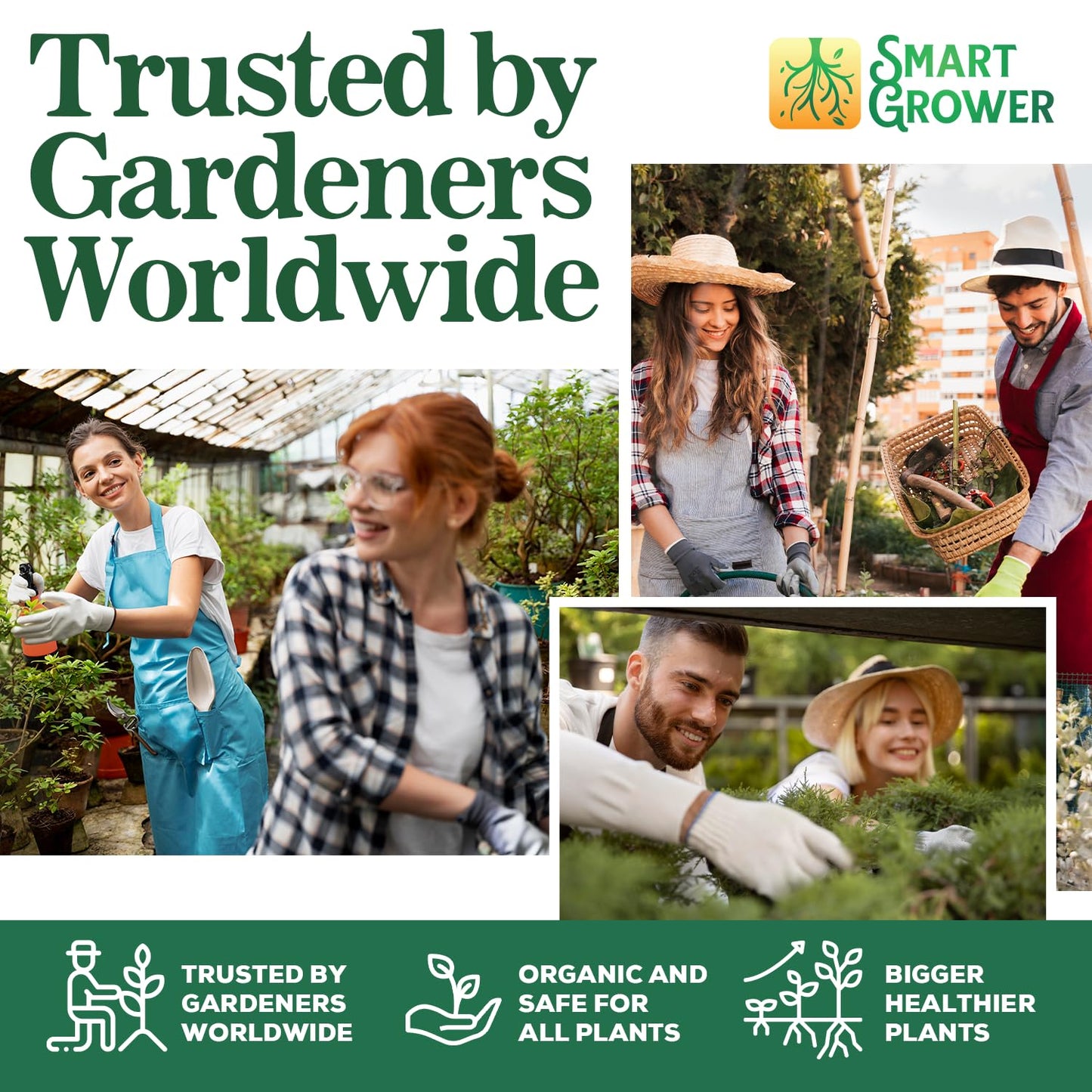 Organic Plant Food with Beneficial Microbes, Fast Acting Vegan Fertilizer for Vegetable Garden, Outdoor & Indoor Plant Fertilizer, Miracle Growth for Plants Concentrated 250GR 2-Pack Makes 60 Gallons