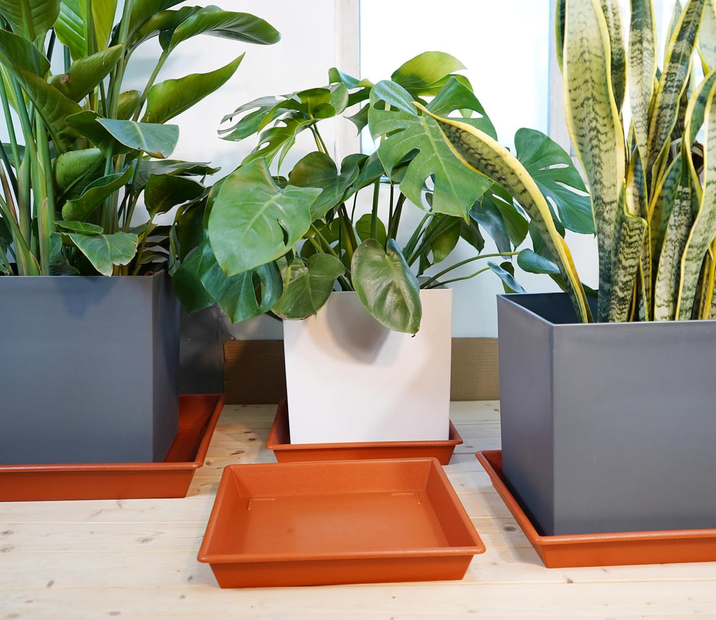 Square Plant Saucer 6 Inch 5 Pack6 8 12 14 16 18 20 Flower Pot No Holes Plant Drip Trays, Plant Trays for Pots Heavy Duty Plastic Plant Saucers for Indoors Outdoors