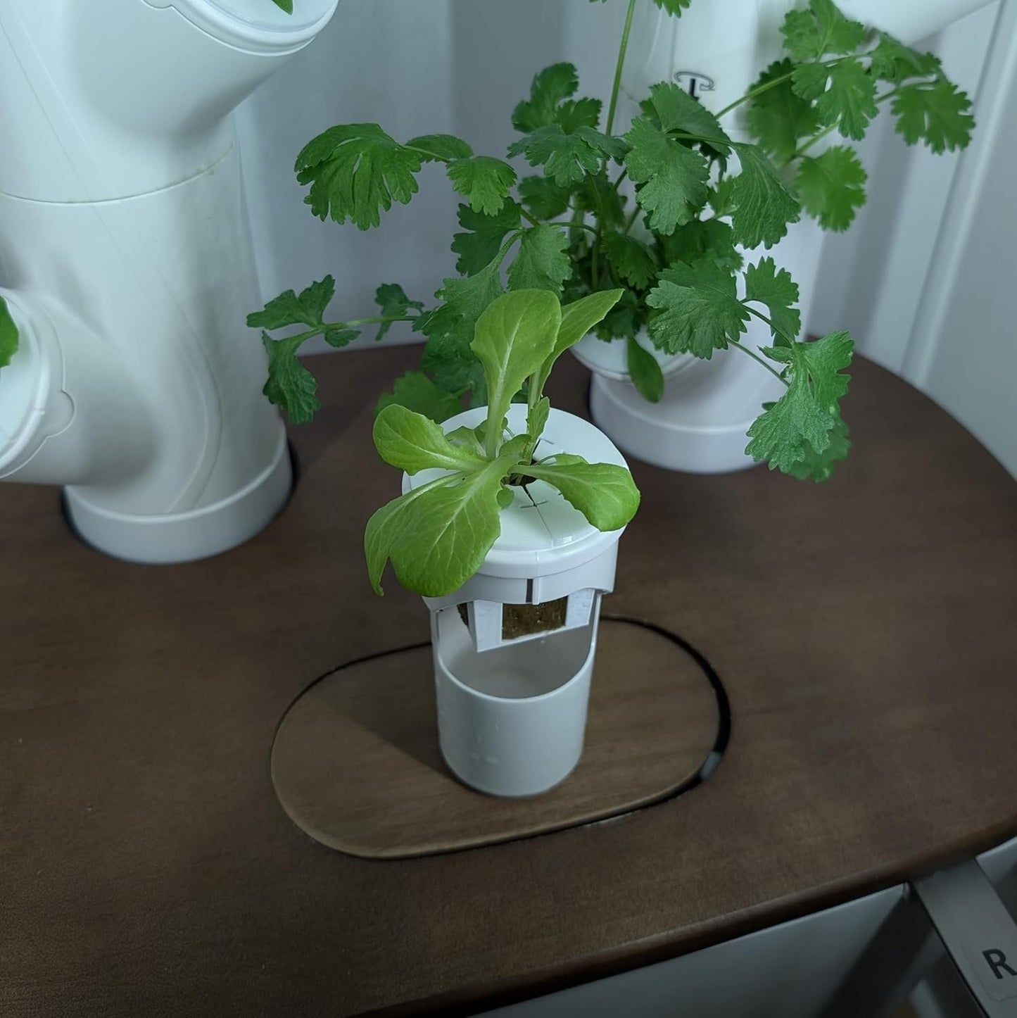 Grow Cubes for Hydroponic System/Compatible with Gardyn (10 Grow Cubes / 10 Mix caps)