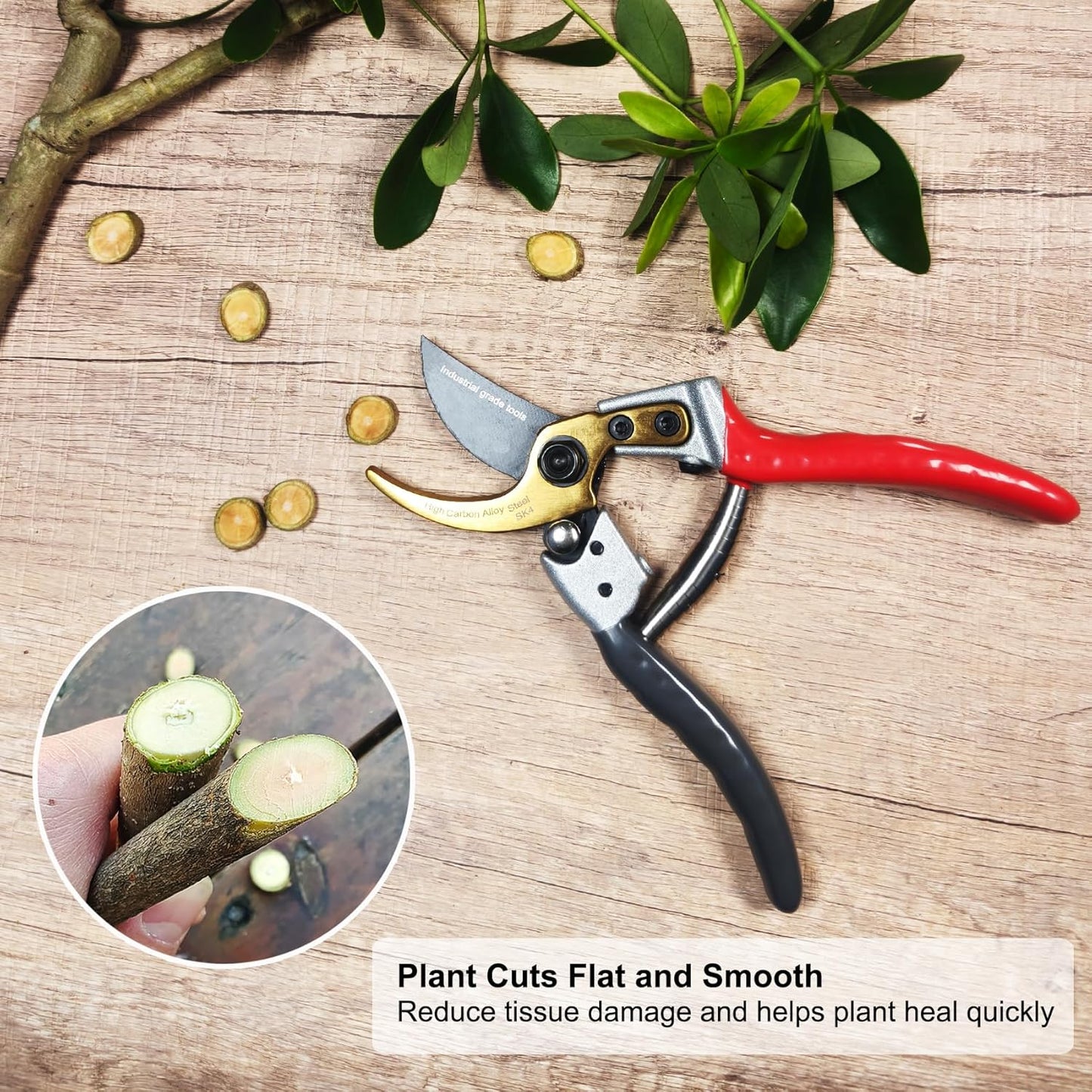 TONMA Bypass Pruning Shears [Made in Japan] 8 Inch Heavy Duty Garden Shears for Gardening, Professional Hand Pruners Garden Clippers with Japanese SK4 Steel Blades, Ergonomic Non-Slip Grip