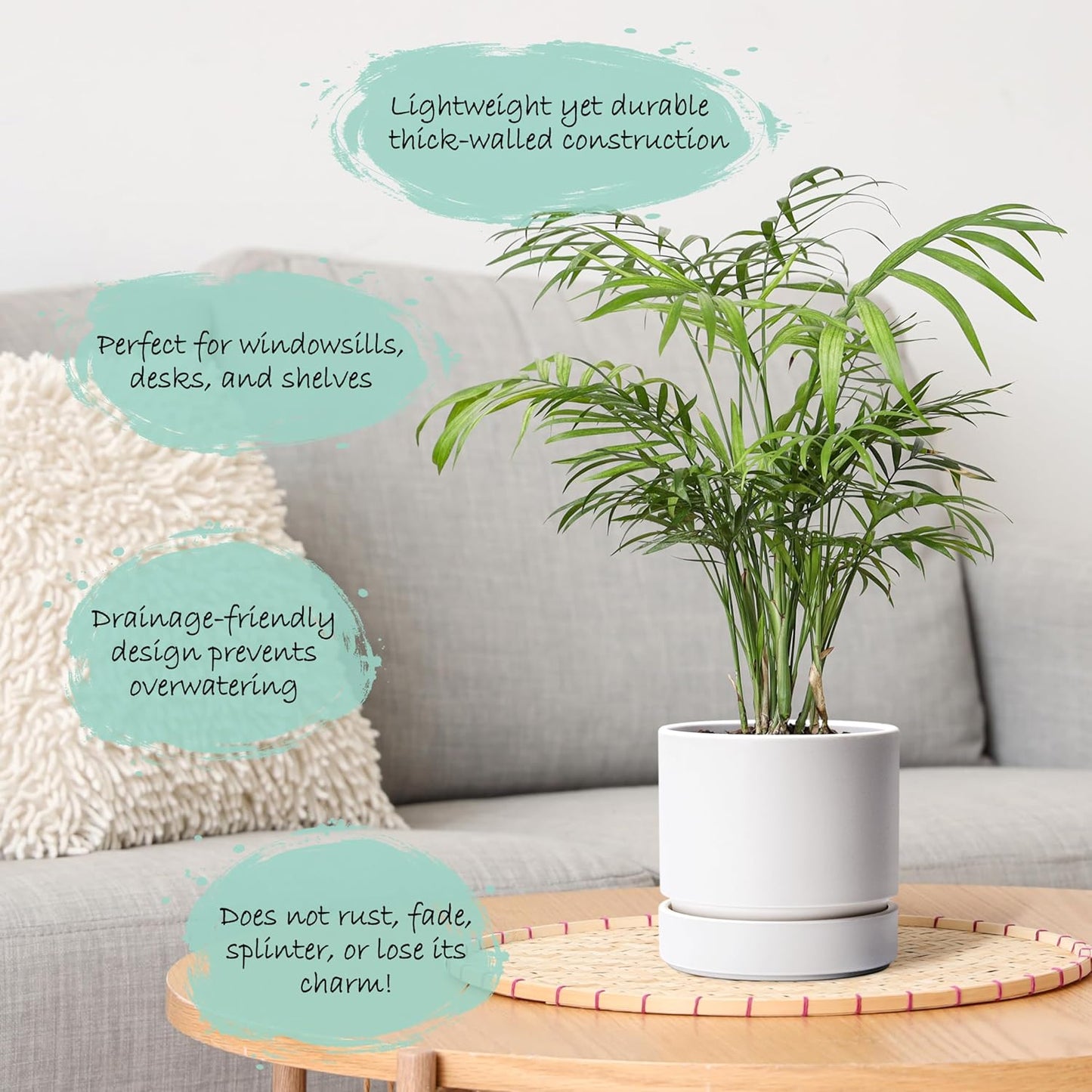 Phoenix Vine 6 Inch Planter Pot with Drainage Hole & Saucer, Deep Water Catch Tray, Straight Cylindrical Round Pot for Plants, Matte White, Pack of 2, 23-B-S-2