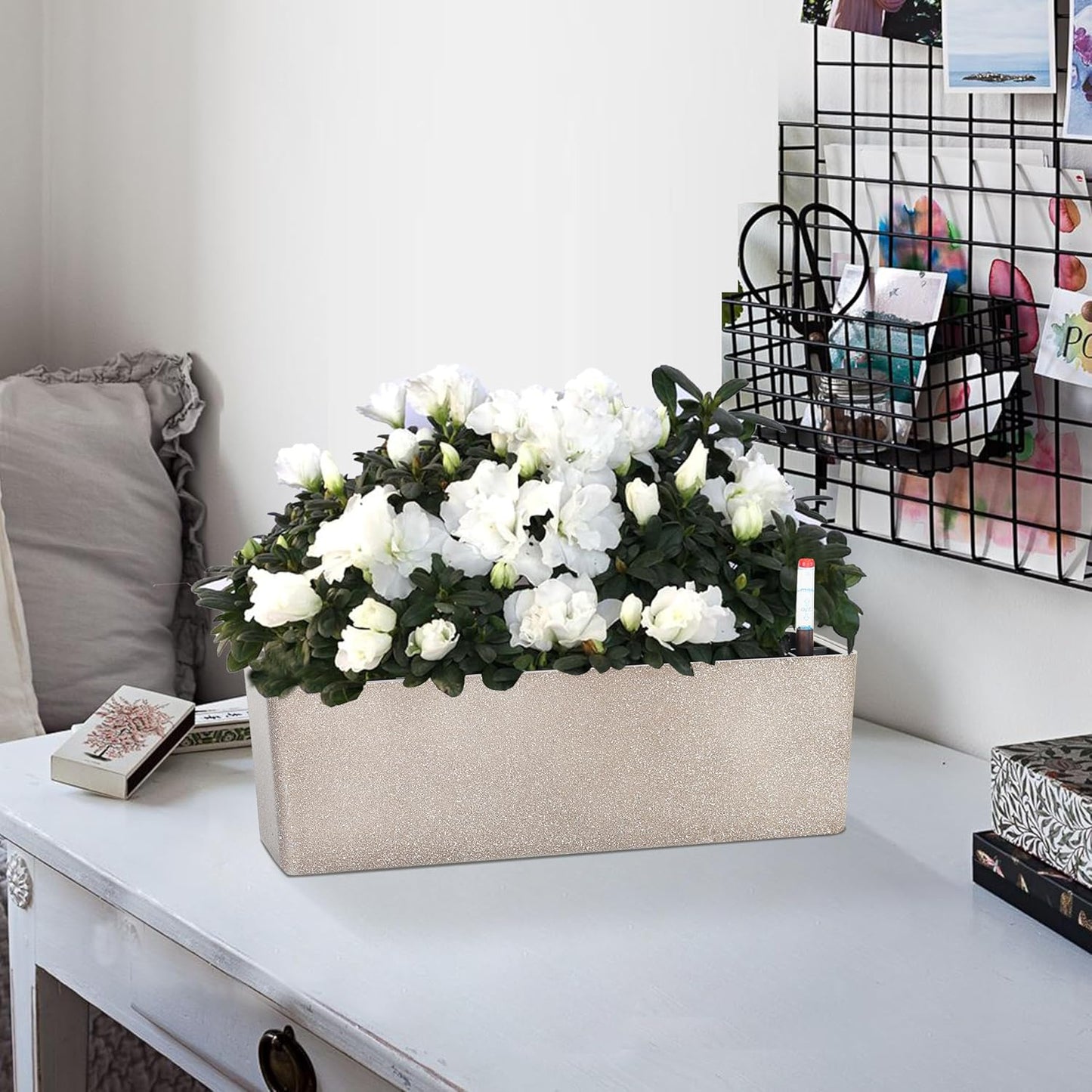 GardenBasix Elongated Self Watering Planter Pots Window Box 5.5 x 16 inch Indoor Home Garden Modern Decorative Planter Pot for All House Plants Flowers Herbs (Coffee,1-Pack)