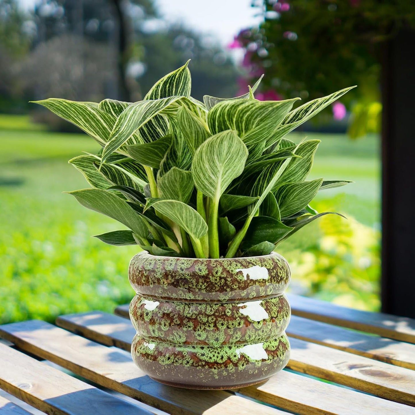Ceramic 6 inch Plant Pot - Planter for Indoor Plants with Drainage Hole, Flower Pots for Orchid, Succulent,Outdoor Plants, Modern Glaze Planters for Home Office Decor Gift