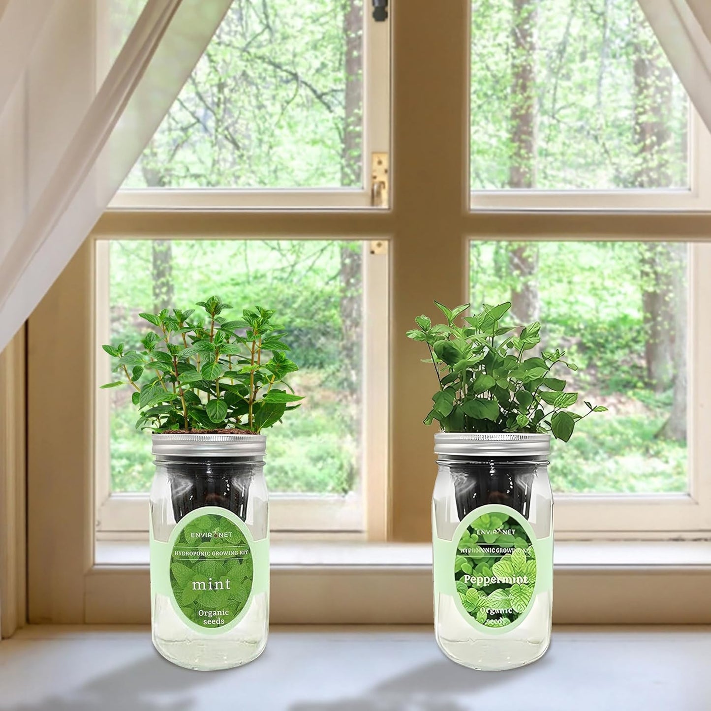 2-Pack Hydroponic Mason Jar Herb Garden Kit, Indoor Herb Garden Self-Watering Starter Kit (Mint,Peppermint)