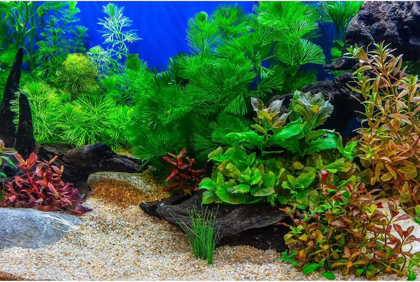 Fish Tank Background Underwater Grass Leaves with Pebble Aquarium Background Vivid Fresh Green Aquatic Plant Stone River Bed Terrarium Bakcground Lake Fish Dead Wood Tank Wallpaper 30x12in