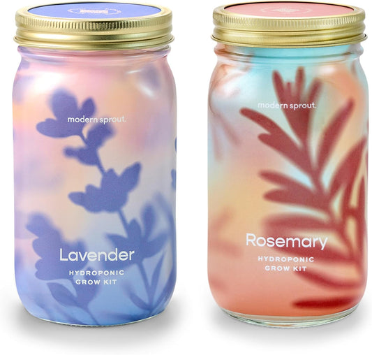 Modern Sprout Mason Garden Jar - Self-Watering Hydroponics Growing System Kit with Organic Herb Seeds - Jar Planter for Indoor Herb Garden - Seed Starter Kit - Home Decor & Gifting - Lavender+Rosemary
