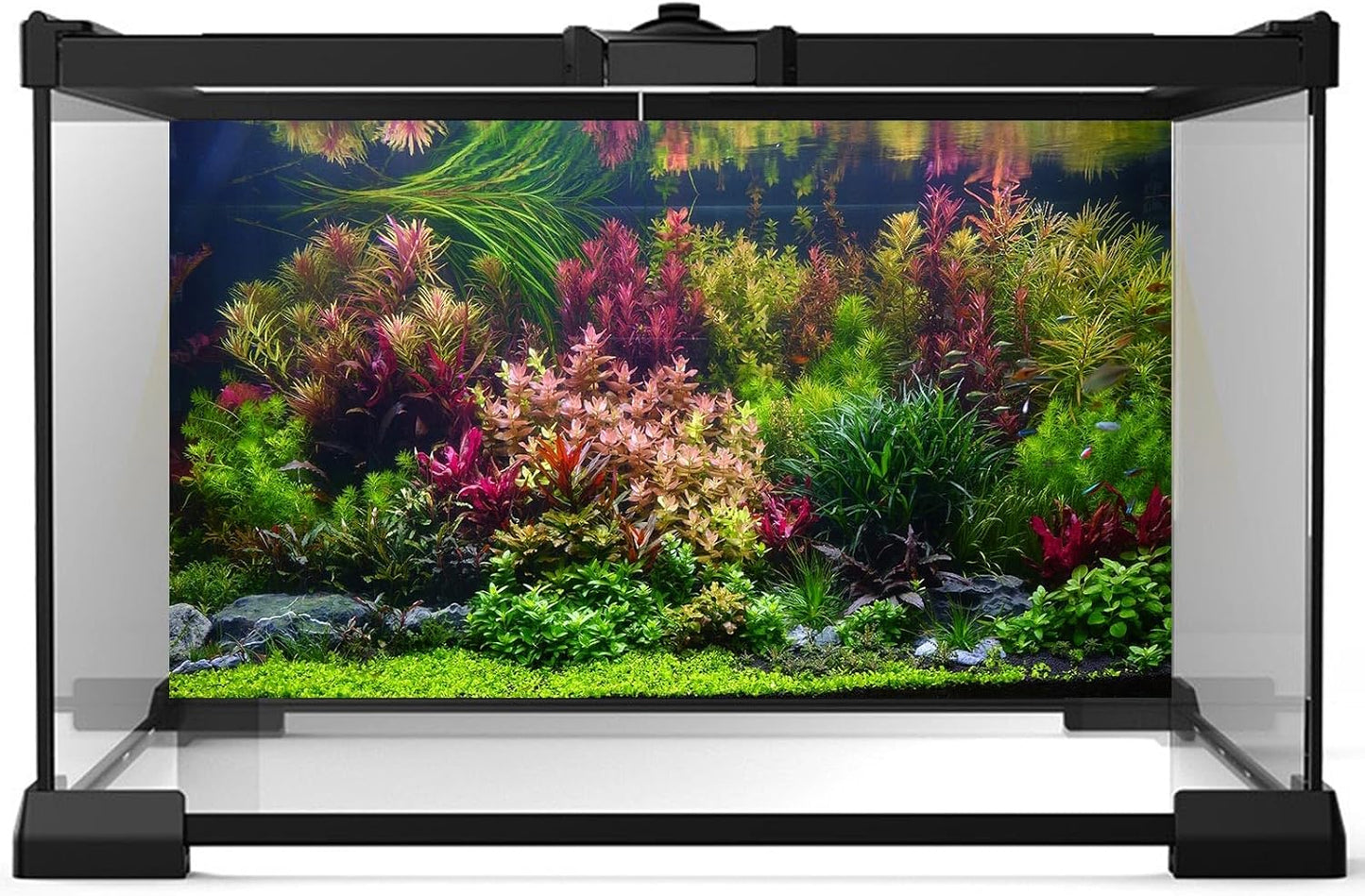 Fish Tank Background Various Vivid Fresh Underwater Aquatic Plant Aquarium Background Stone River Bed Fish Terrarium Background 30x12in