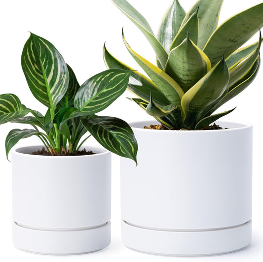 Phoenix Vine 6 Inch and 8 Inch Planter Pot with Drainage Hole & Deep Water Catch Tray Saucer, Straight Cylindrical Round Pot for Plants, Matte White, 23-A-1-Y