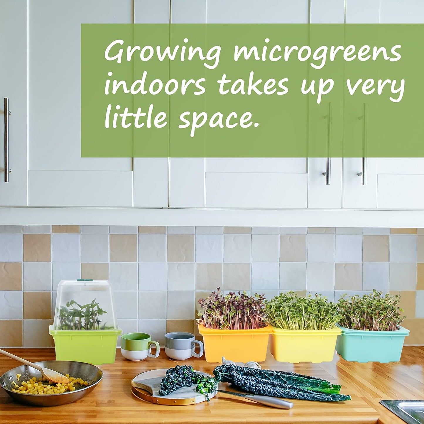 Microgreen Growing Trays, LUVCSOY Sprouting Tray with Humidity Dome, 3mm Large Mesh Holes, BPA Free, Sprouter Kit for Growing Large Seeds, Like Sunflower, Mung Beans, Green Pea - 4 Pack | Colorful