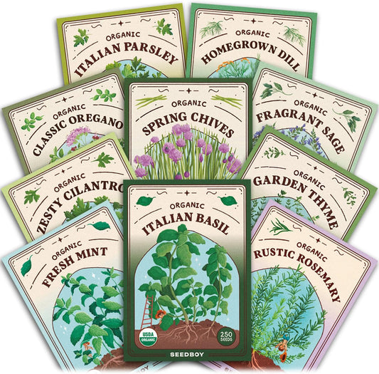 Seedboy Organic 10 Herb Variety Pack: Basil, Cilantro Mint Oregano Parsley Thyme Chives Dill Sage Rosemary for Planting Indoor and Outdoor, 5460 Non-GMO USDA Certified Seeds (10 Herb Variety Pack)