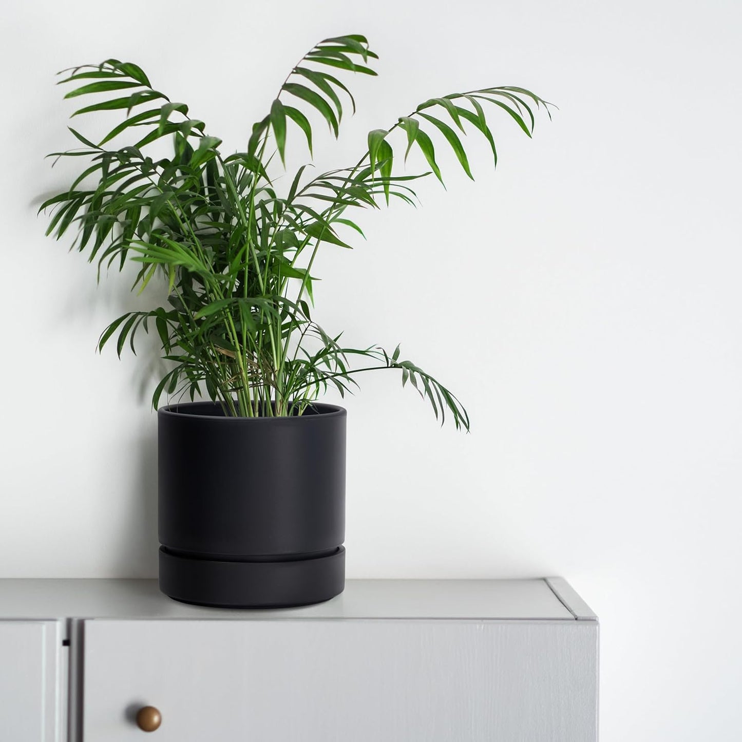 Phoenix Vine 6 Inch Planter Pot with Drainage Hole & Saucer, Deep Water Catch Tray, Straight Cylindrical Round Pot for Plants, Matte Black, Pack of 1, 23-C-S-1