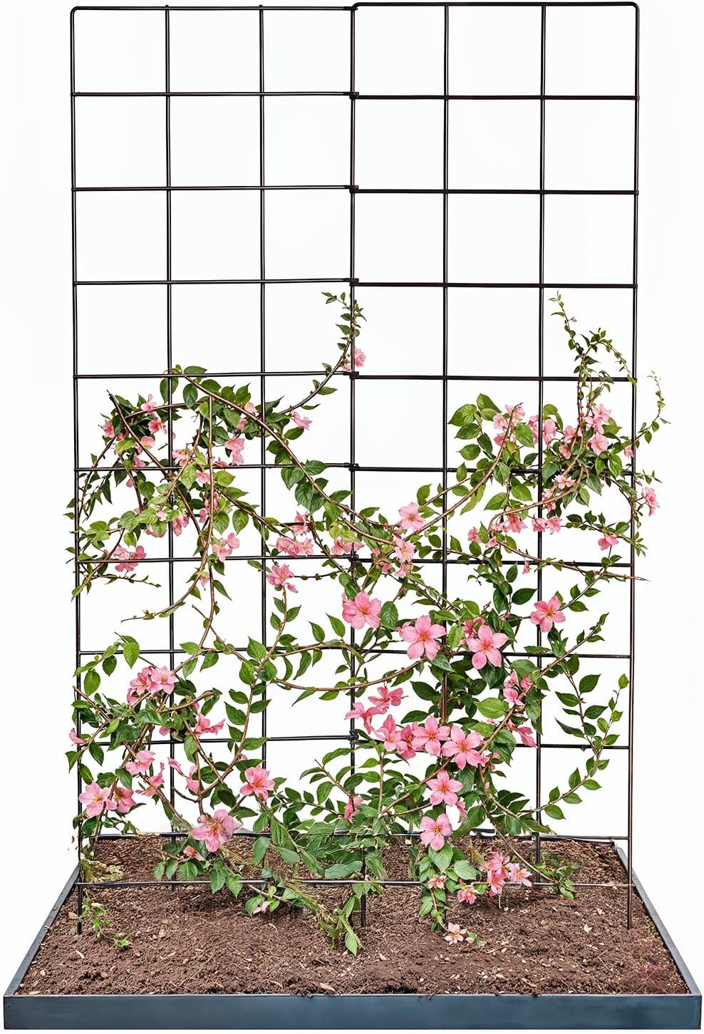 IDZO 2-Panel Folding Trellis, Basic Metal Decoration Trellis for Climbing Plants Outdoor, Tall Metal Plant Trellis with Steel Frame, Panel Trellis Garden Lattice for Vines & Vegetables