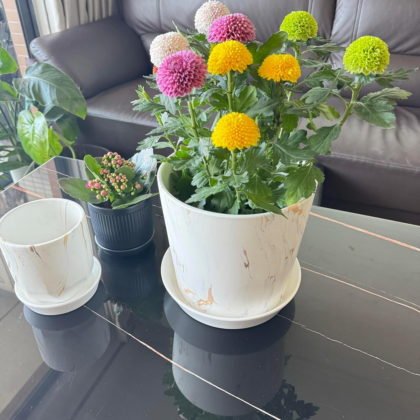 Plant Saucer Tray of 2 Pack 6 Inch, 7 inch (6.7 Inch) Plant Saucer Tray, Heavy Duty Glazed Ceramic Plant Saucers for Indoors & Outdoor, Flower Plant Water Trays for Pots Planter