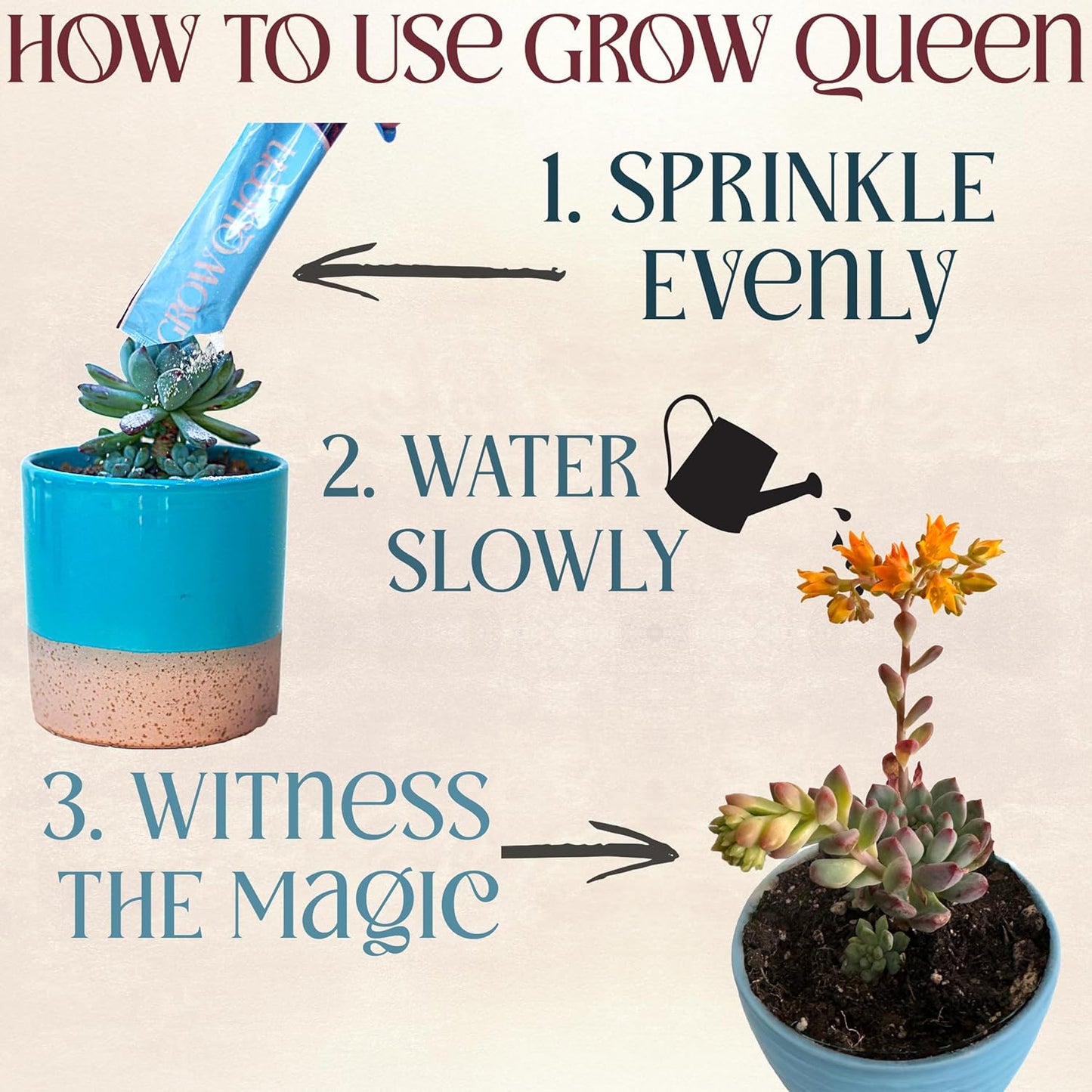 Complete Organic Cactus & Succulent Fertilizer, Succulent Plant Food & Cactus Food, Bonsai, Snake Plant Fertilizer, 11 Servings Fast & Slow Release Feeds up to 44 Plants 8 Months