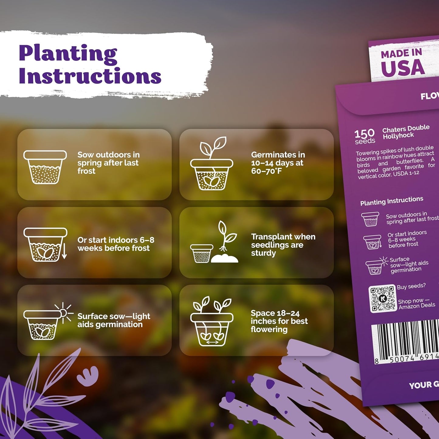 KVITER 150 Chaters Hollyhock Seeds for Planting (Alcea rosea) - Heirloom | Tall Blooms | Pollinator Magnet - Double Hollyhocks Flower Seeds to Plant Outside in Garden, Cottage Borders, Containers