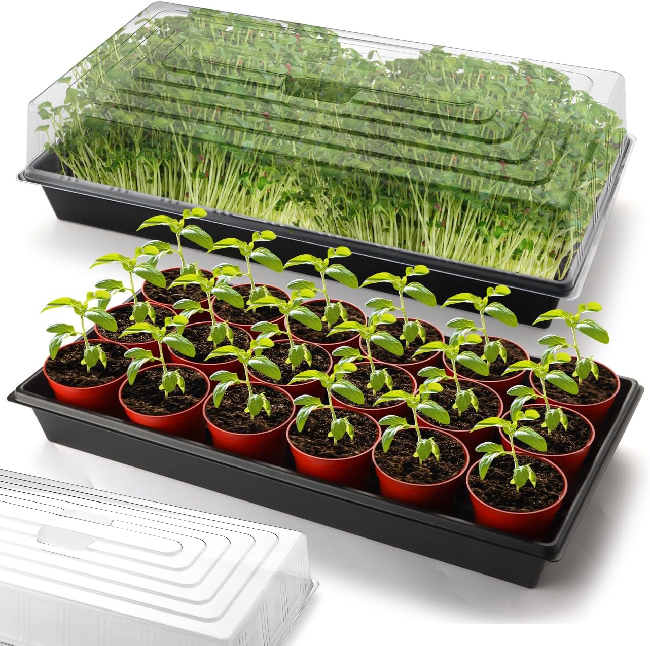 5-Pack 1020 Seed Trays with Humidity Domes - Reusable Heavy Duty Plant Propagation Trays, 3.6" 1020 Clear Greenhouse Covers & Handle for Seedlings, Cloning, Microgreens (No Holes Design)