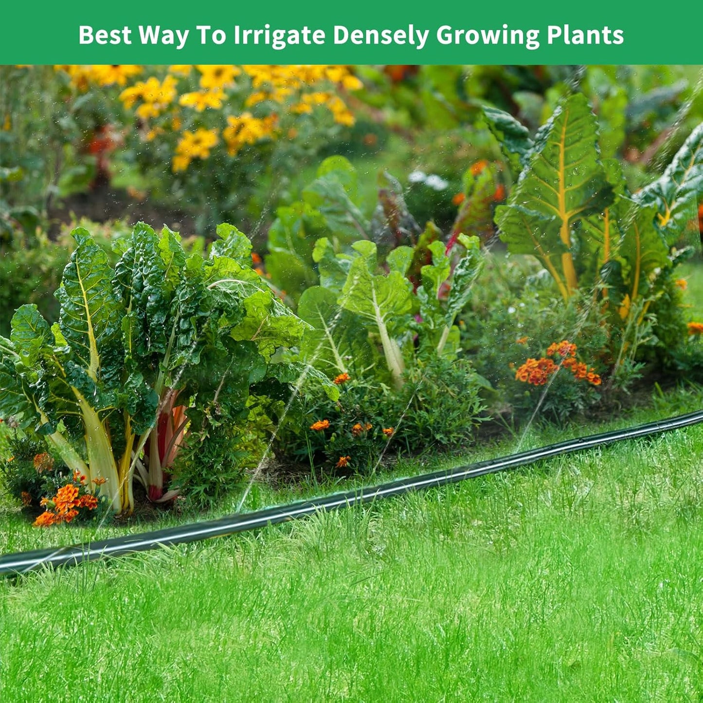 100 FT （50FT*2 Flat Sprinkler Hose for Lawn Watering Garden Soaker Hose with Holes, Heavy Duty Lightweight No-Kink Water Hose with Stakes, Irrigation Hose, Great Fun for Kids and Dog