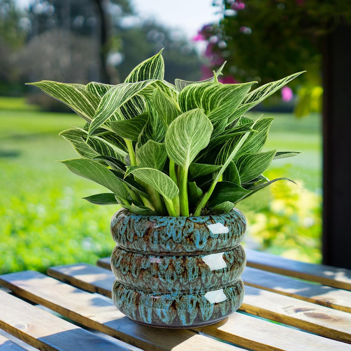 Ceramic 6 inch Plant Pot - Planter for Indoor Plants with Drainage Hole, Flower Pots for Orchid, Succulent,Outdoor Plants, Modern Glaze Planters for Home Office Decor Gift