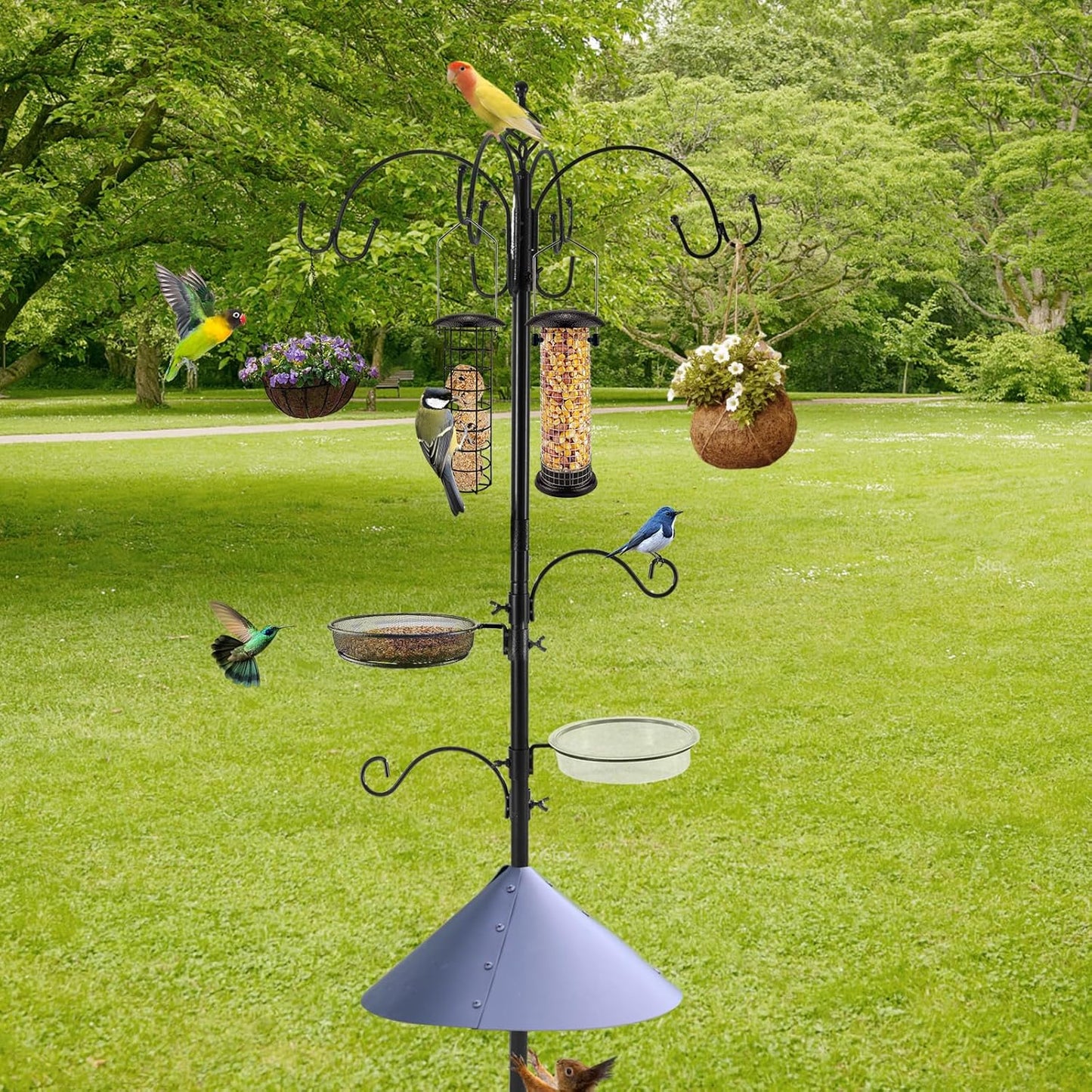 Bird Feeding Station Kit with Squirrel Baffle Bird Feeder Pole with Suet Cage Mesh Tray Fruit Hook Double W Hook for Attracting Wild Birds and Hanging Planter Hanger Lights