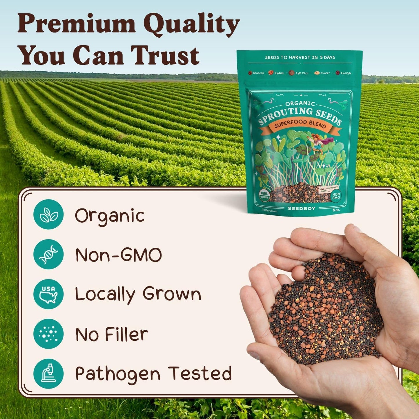 Seedboy Organic Sprouting Seeds - Superfood Blend - Non-GMO, USA Grown Microgreens Mix - Broccoli, Radish, Pak Choi, Clover, Red Kale - Makes 8 Quarts of Sprouts, 24 Servings (8 oz) (Superfood Blend)