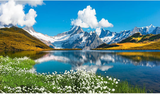 Mountains Lake Aquarium Background Bernese range View Fish Tank Background Switzerland Alps Grindelwald Valley Lake Terrarium Background Fantastic Natural Landscape Aquarium Fish Tank Decors 30x12in