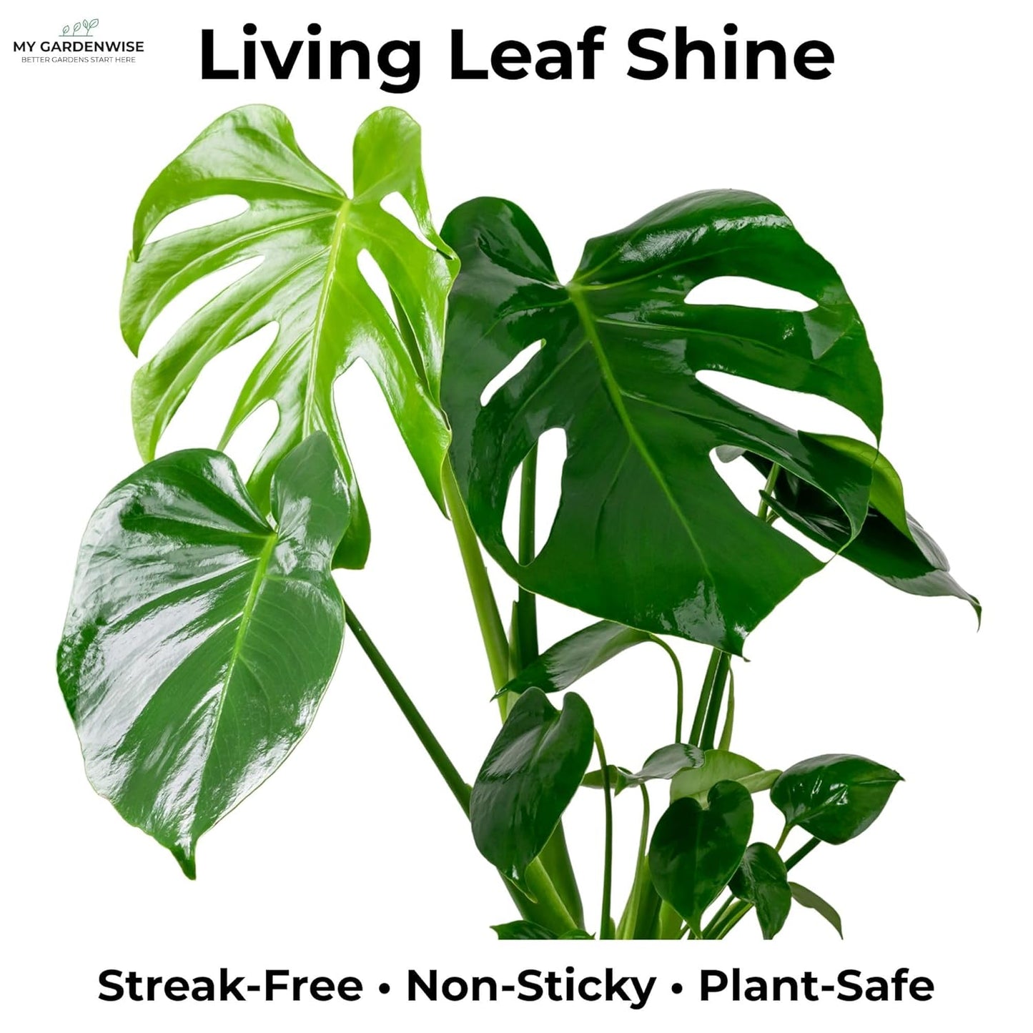 Leaf Shine Spray for Indoor Plants – Plant Leaf Cleaner & Shine for Real House Plants – Fragrance-Free, Non-Sticky, Streak-Free Finish, 16 fl oz