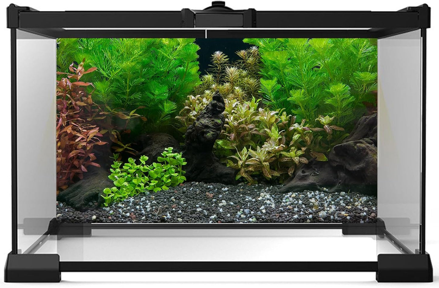 Aquarium Background Exquisite Underwater Grass Leaves with Pebbles Fish Tank Background Vivid Green Aquatic Plant Stone with Dead Woods Leaves Terrarium Wallpaper 30x12in