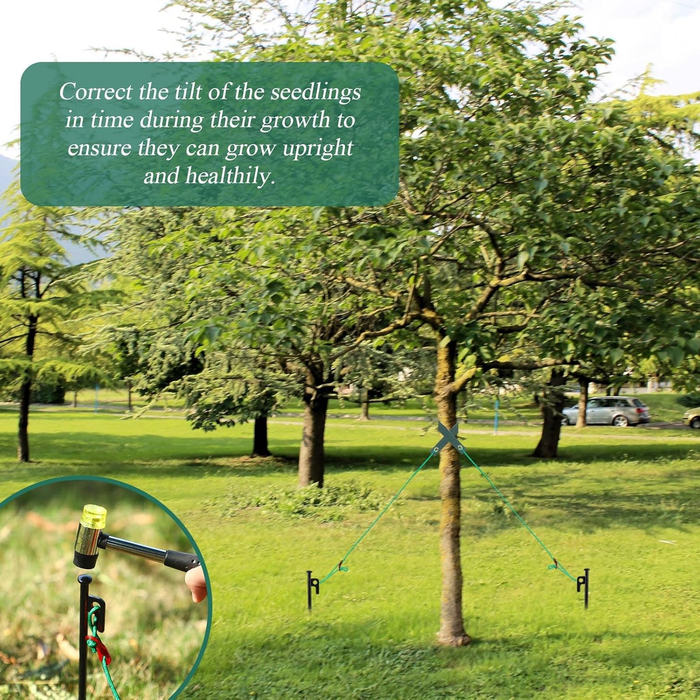 Suzile 120 Pcs Tree Stake Kit, Heavy Duty Tree Staking and Supports for Leaning Trees Include 11. 8'' Steel Stakes 15. 8'' Support Straps 13. 12 ft Ropes for Anchoring Hurricane Protection (Green)