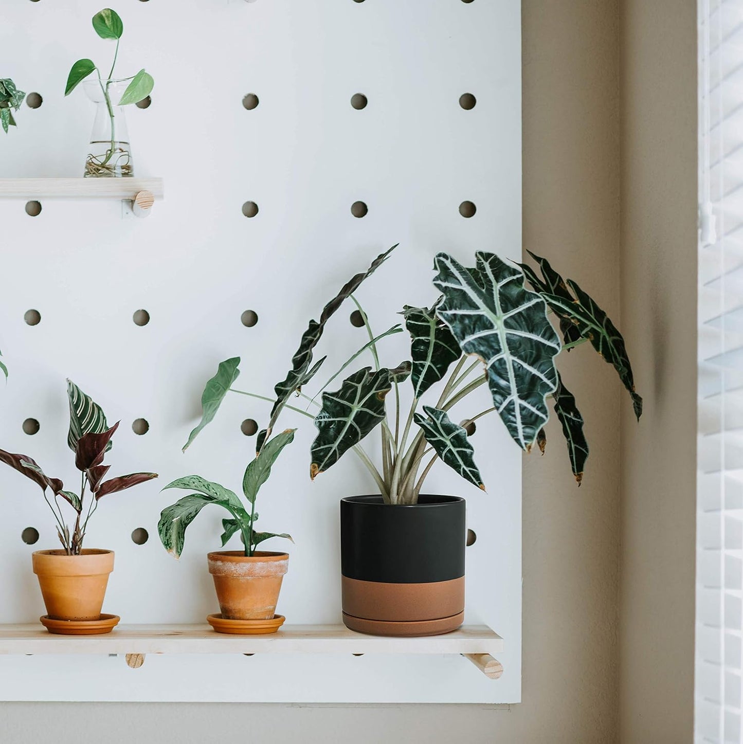 D'vine Dev 6 Inch Ceramic Planter Pot with Drainage Hole and Saucer, Indoor Cylinder Round Planter Pot, Black/Speckled Tan, 94-O-C-7