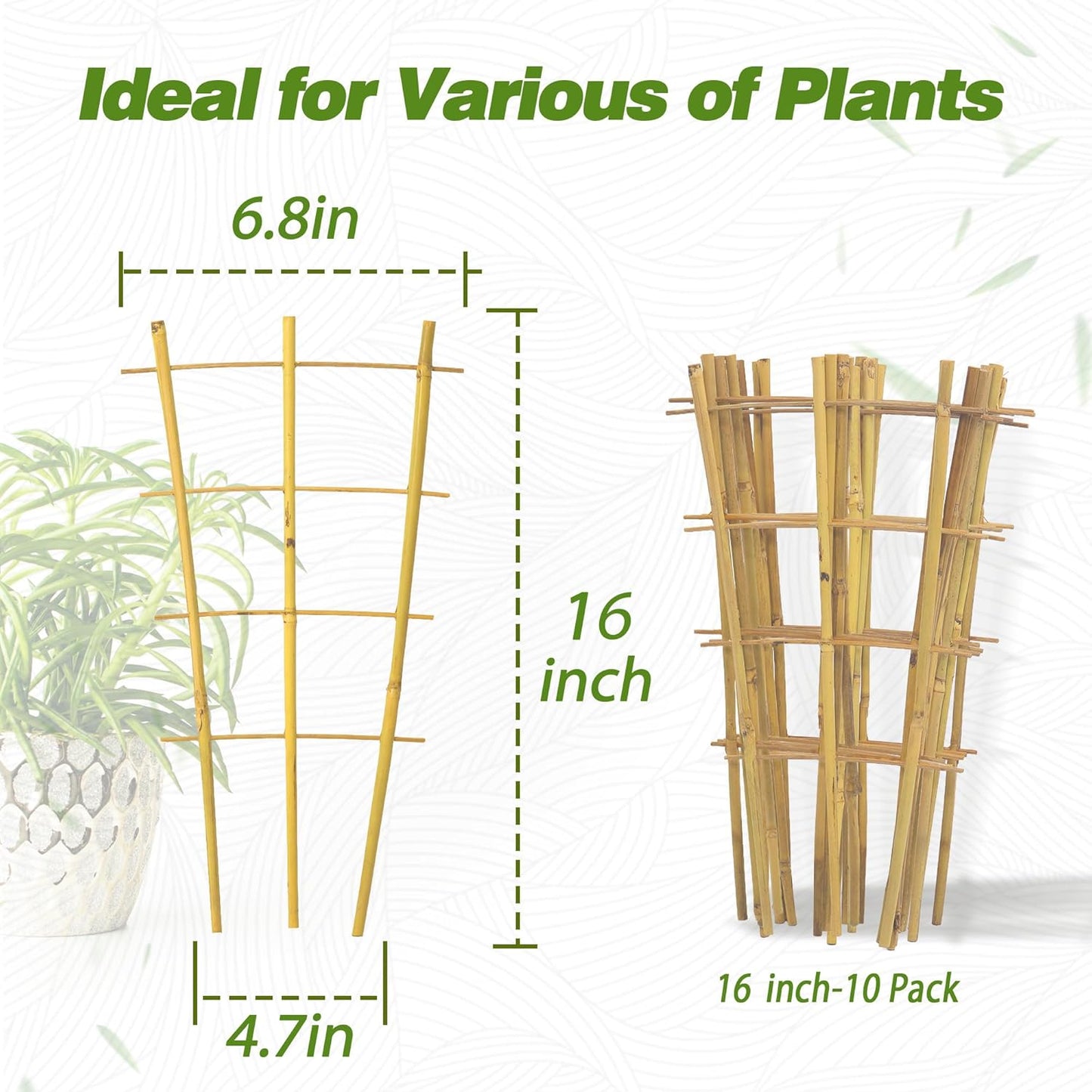 Avalution 10 Pack Bamboo Trellis for Climbing Plants 16" Natural Garden Ladder Trellis, Fan -Shaped Plant Support Trellis for Potted Plant Decor