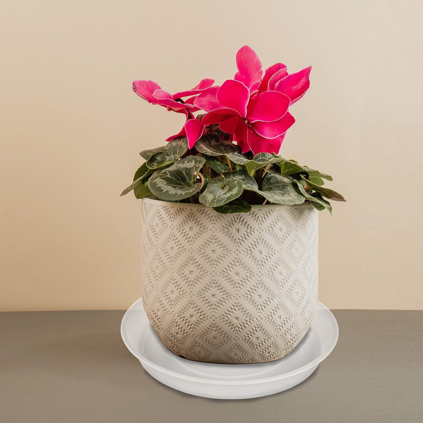 6 Pack of 12 inch Plant Saucer Clear, Heavy Duty Plastic Plant Saucer 12 inch Round, Durable Plant Tray for Pots, Plant Saucers for Indoors, Plant Trays for Planter 10"/11"/12" (12", Clear)